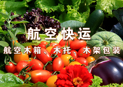 九游娱乐体育